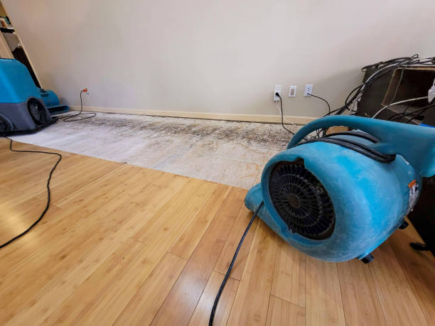 Professional Flood Damage Cleanup technician working in Roanoke, AL